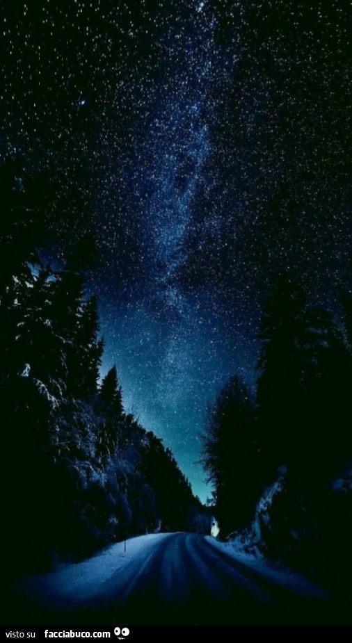 Via lattea sulla foresta lungo la strada