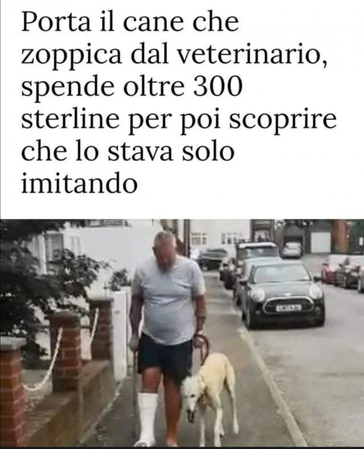 Cane imitatore