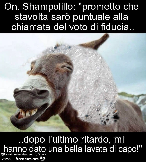 On. Shampolillo: "prometto che stavolta sarò puntuale alla chiamata del voto di fiducia&hellip; dopo l'ultimo ritardo, mi hanno dato una bella lavata di capo! "