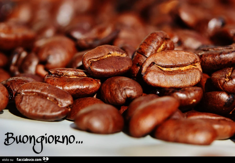 Chicchi di caffè. Buongiorno
