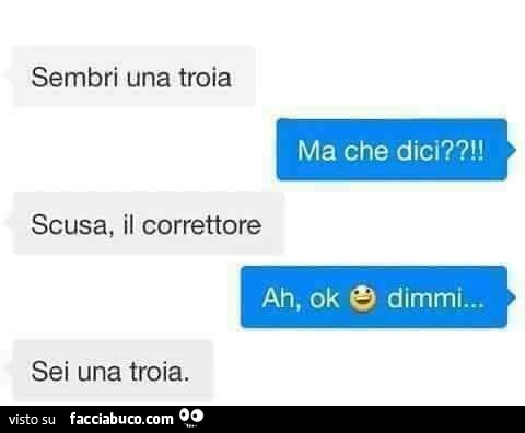 Sembri una troia. Ma che dici?! Scusa, il correttore. Ah, ok dimmi… sei una troia