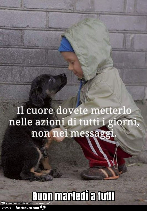 Buon martedì a tutti