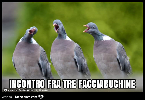 Incontro fra tre facciabuchine