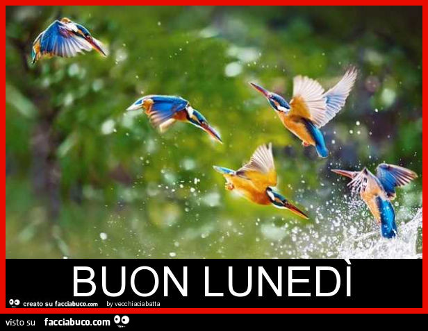 Buon lunedì