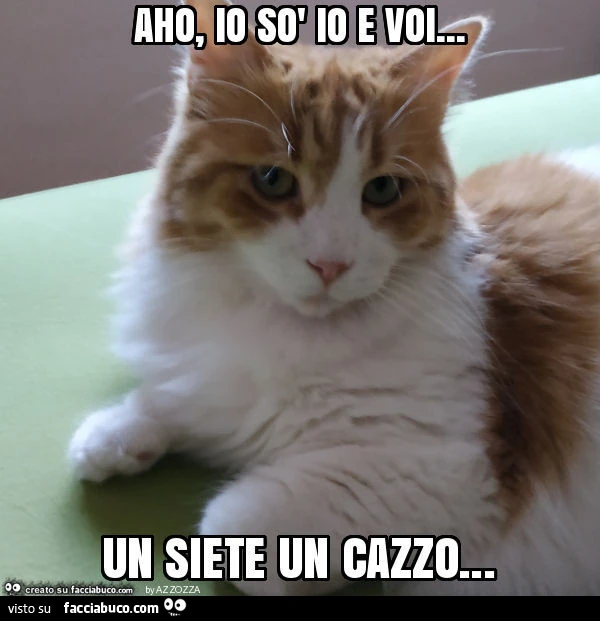 Aho, io sò io e voi&hellip; un siete un cazzo