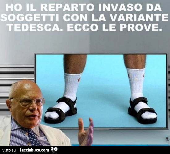 Vaccata