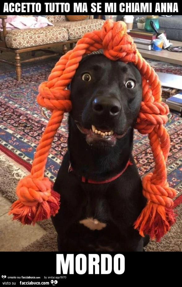 Accetto tutto ma se mi chiami anna mordo