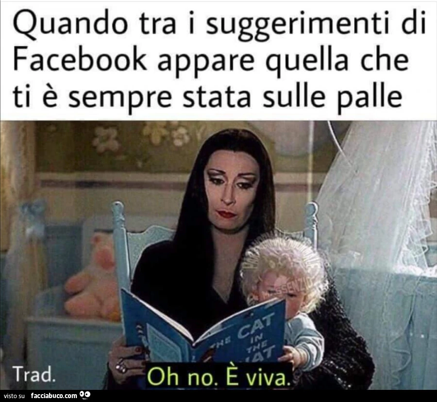 Vaccata