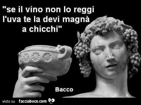 Se il vino non lo reggi