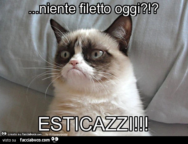Niente filetto oggi?!? Esticazzi