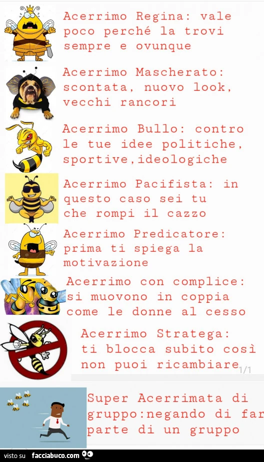 Acerrimo regina