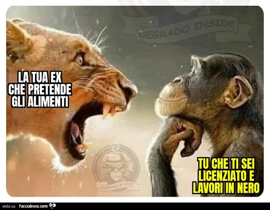 Alimenti