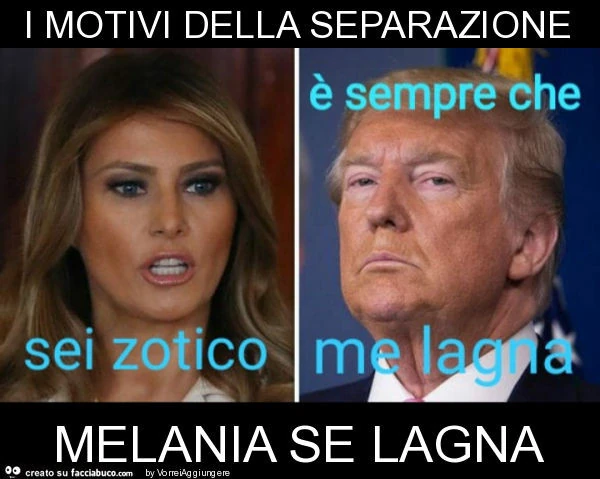 I motivi della separazione melania se lagna