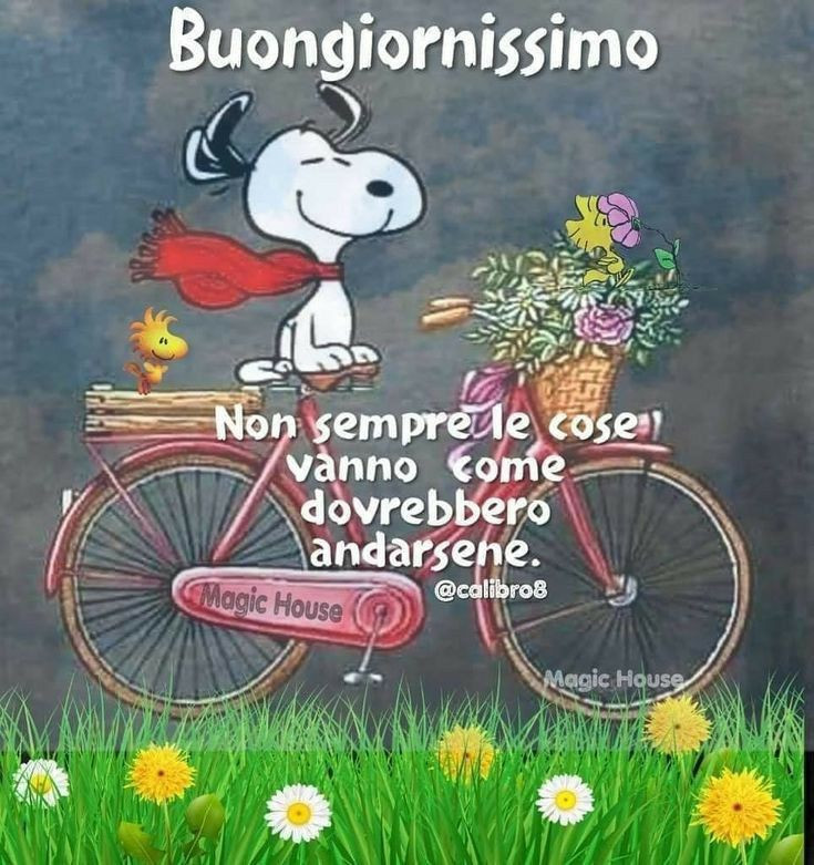 Buongiorno