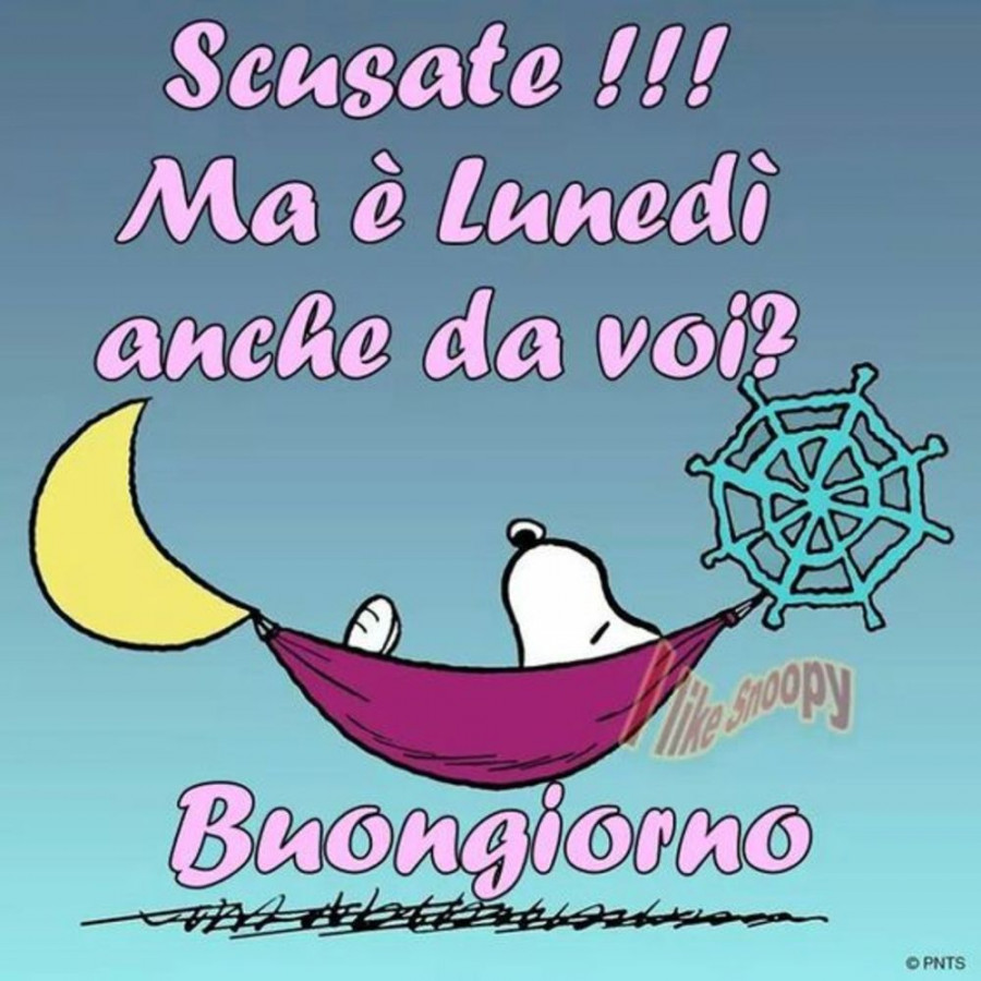 tw4y3bgsn1-buongiorno-e-buon-lunedi-chiacchiera_a.jpg