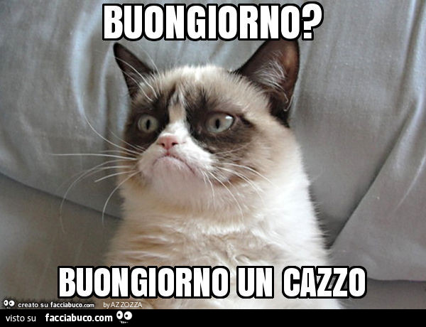 Buongiorno? Buongiorno un cazzo