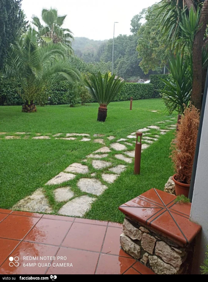 Vaccata