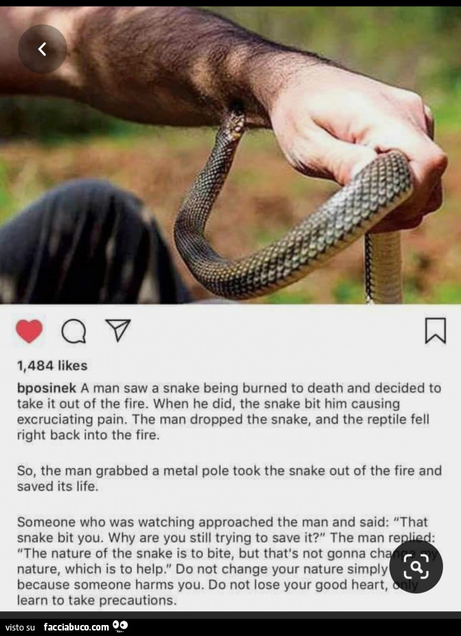 Il fuoco e il serpente