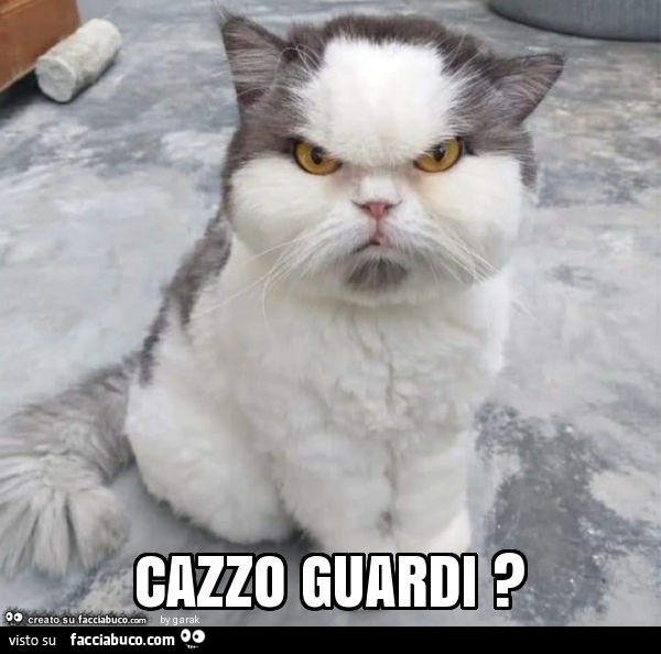 Cazzo guardi?