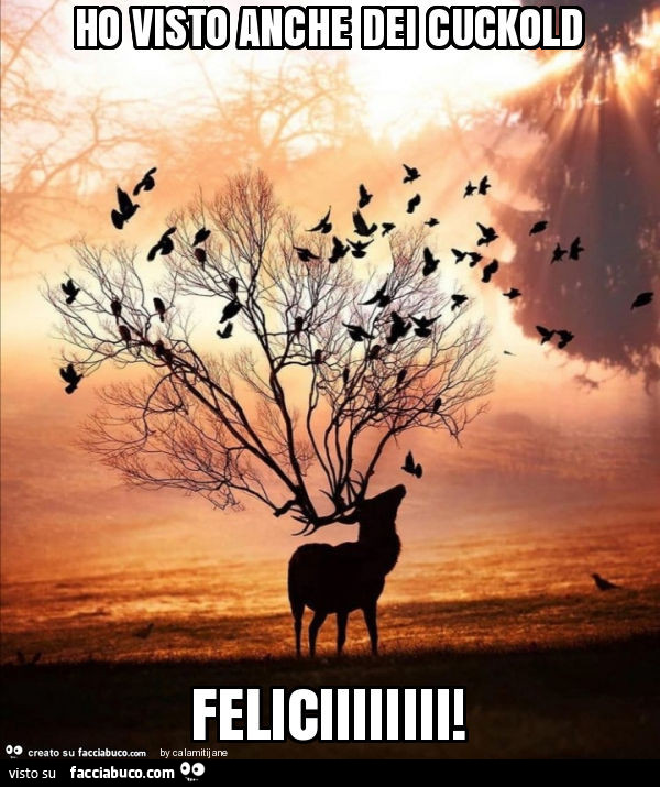 Ho visto anche dei cuckold feliciiiiiiii