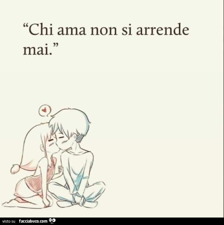 Chi ama non si arrende mai