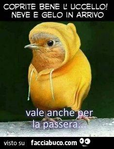 Coprite bene l'uccello