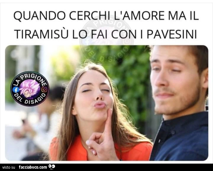 Quando cerchi l'amore ma il tiramisù lo fa con i pavesini