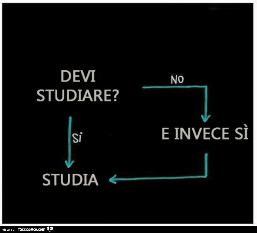 Devi studiare? Si studia. No. E invece sì