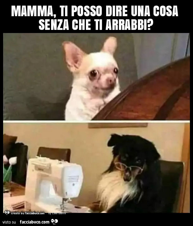 Mamma, ti posso dire una cosa senza che ti arrabbi?