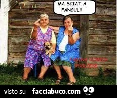 Vaccata