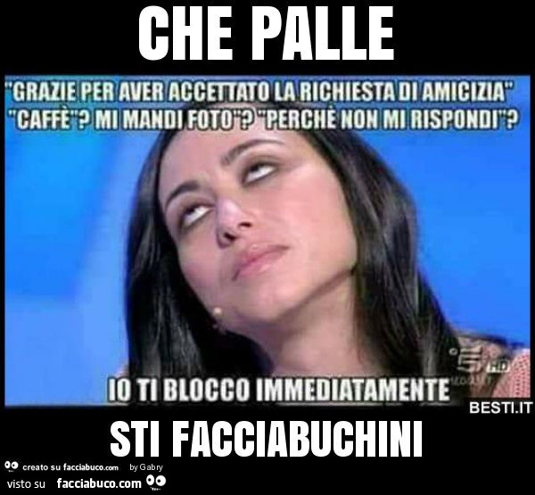 Che palle sti facciabuchini