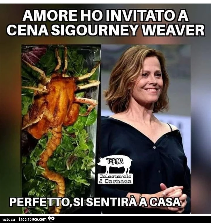 Amore ho invitato a cena sigurney weaver
