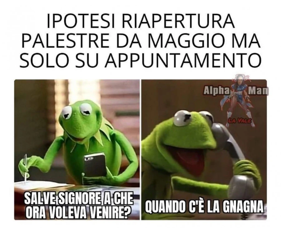 Vaccata
