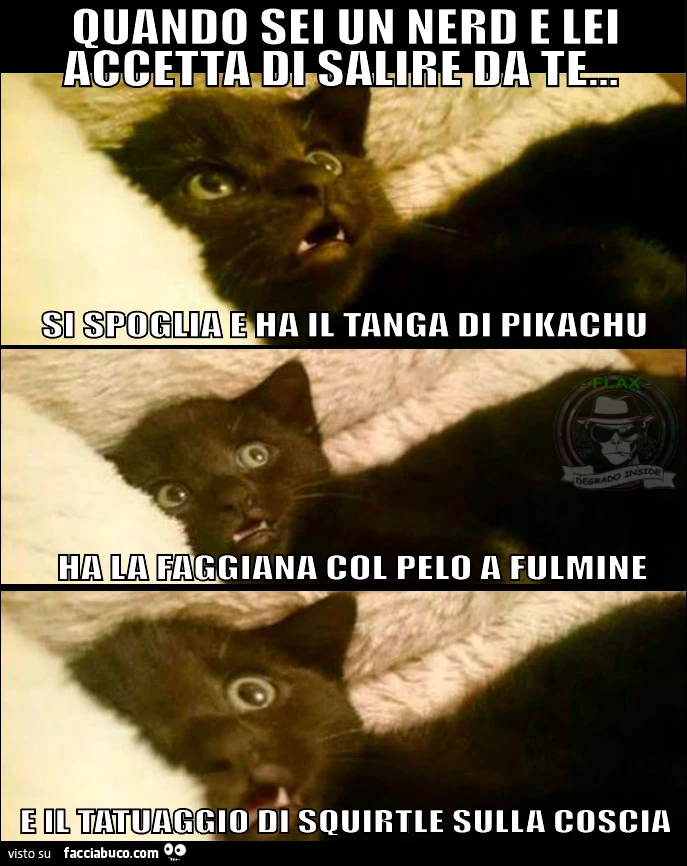 Vaccata