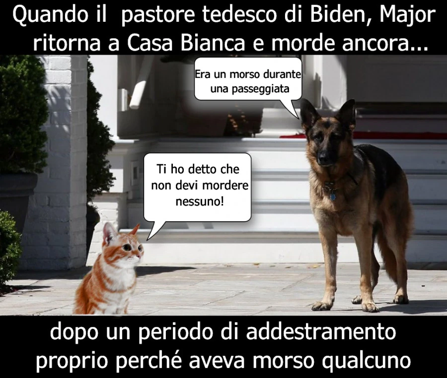 Nuovi guai per Major il cane di Biden