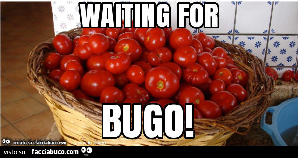 Waiting for bugo