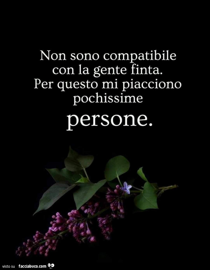 Non sono compatibile con la gente finta. Per questo mi piacciono pochissime persone