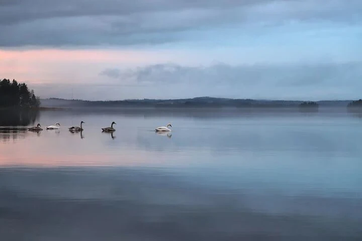 Haiku