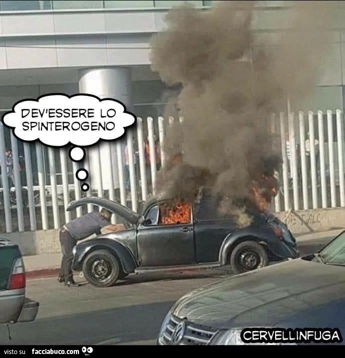 Vaccata
