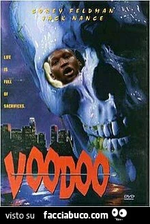 Vaccata