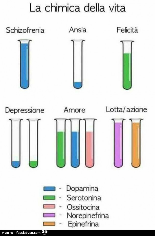 La chimica della vita schizofrenia felicità dopamina serotonina ossitocina norepinefrina epinefrina ansia