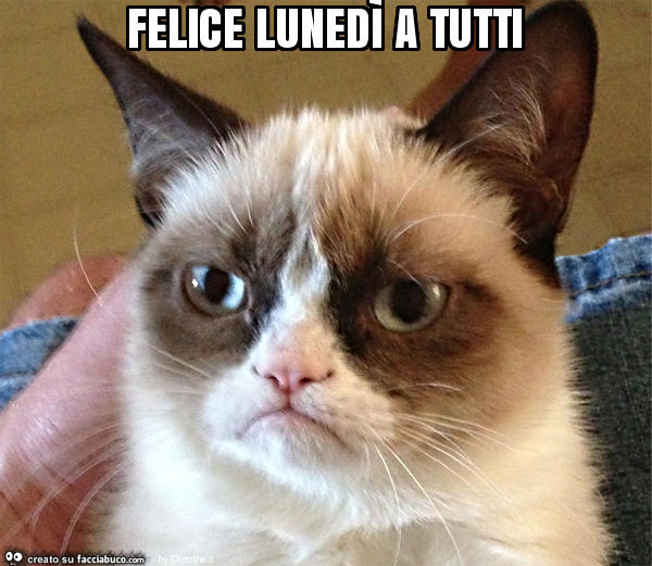 Felice lunedì a tutti