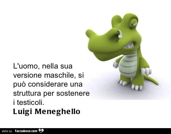 L'uomo, nella sua versione maschile, si può considerare una struttura per sostenere i testicoli. Luigi Meneghello