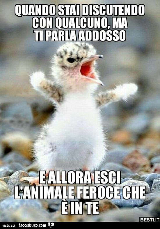Quando stai discutendo ma qualcuno ti parla addosso e allora esci l animale feroce che è in te