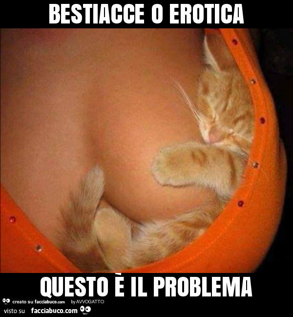 Bestiacce o erotica questo è il problema