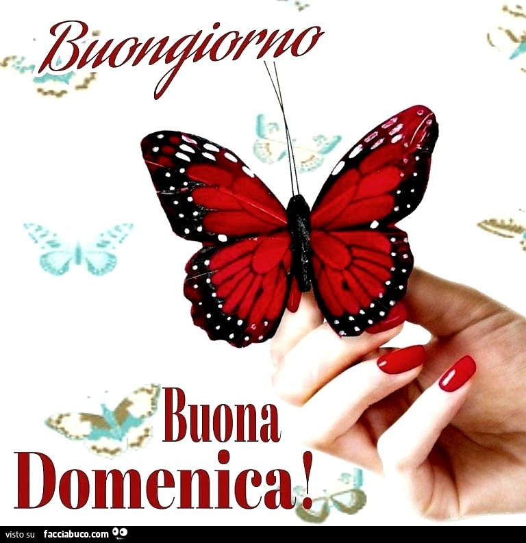Buongiorno buona domenica