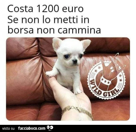 Vaccata