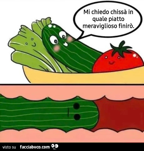 Il cetriolo