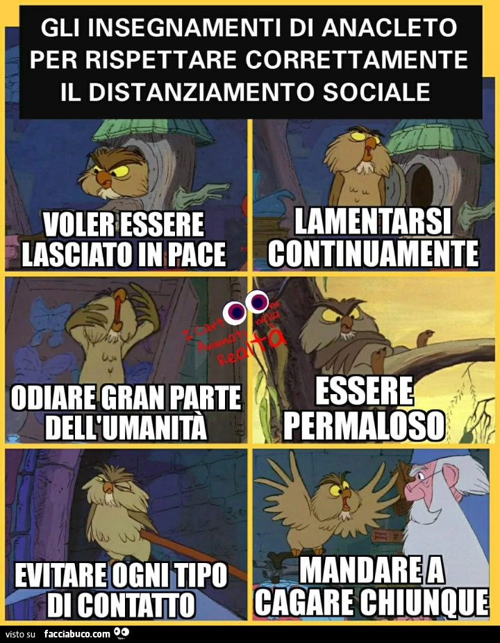 Vaccata