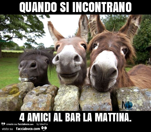 Quando si incontrano 4 amici al bar la mattina
